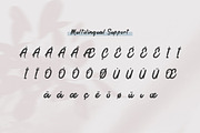 the Brodolly - Brush Handwritten Fon, a Handwritten Font by productype1 (Thumbnail 8 of 8)