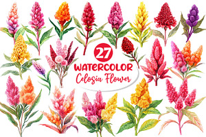Celosia Flower Clipart, an Illustration by Dream Creation