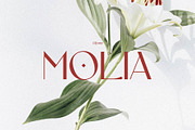 Lilyane - A Lovely Font, a Serif Font by StudioinBry (Thumbnail 4 of 12)
