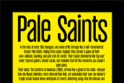 Thamarine Condensed Sans Font, a Sans Serif Font by PeanutButter Type (Thumbnail 4 of 9)