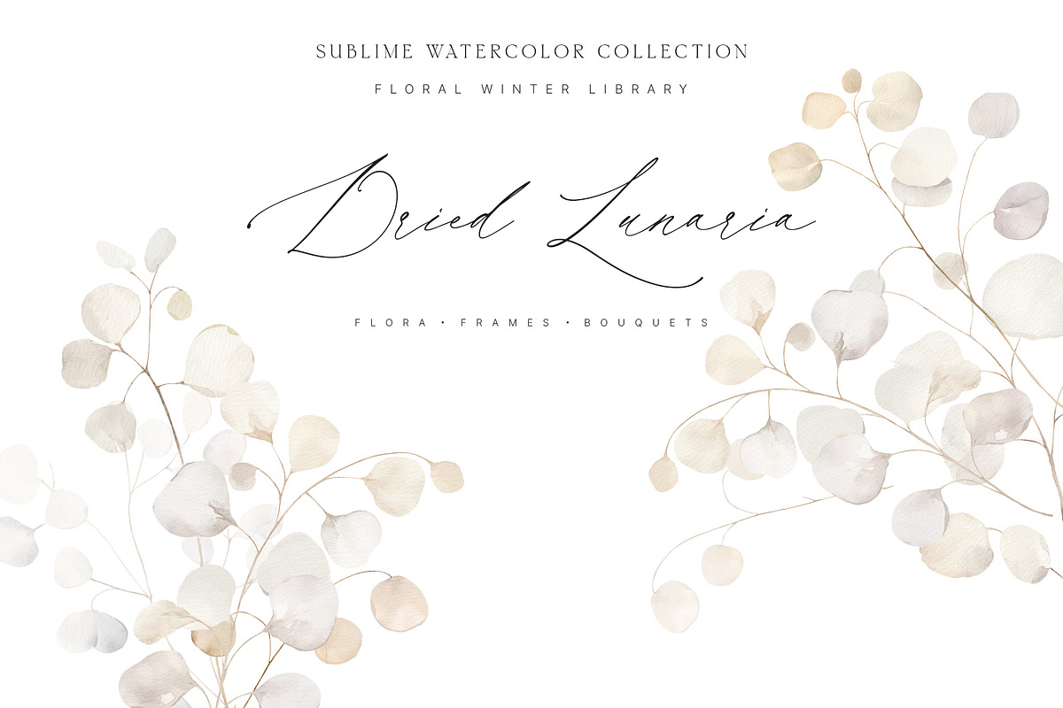 FLORAL WINTER BOX Watercolor Bundle, a Seasonal Illustration by Muse Artist (Photo 74 of 95)