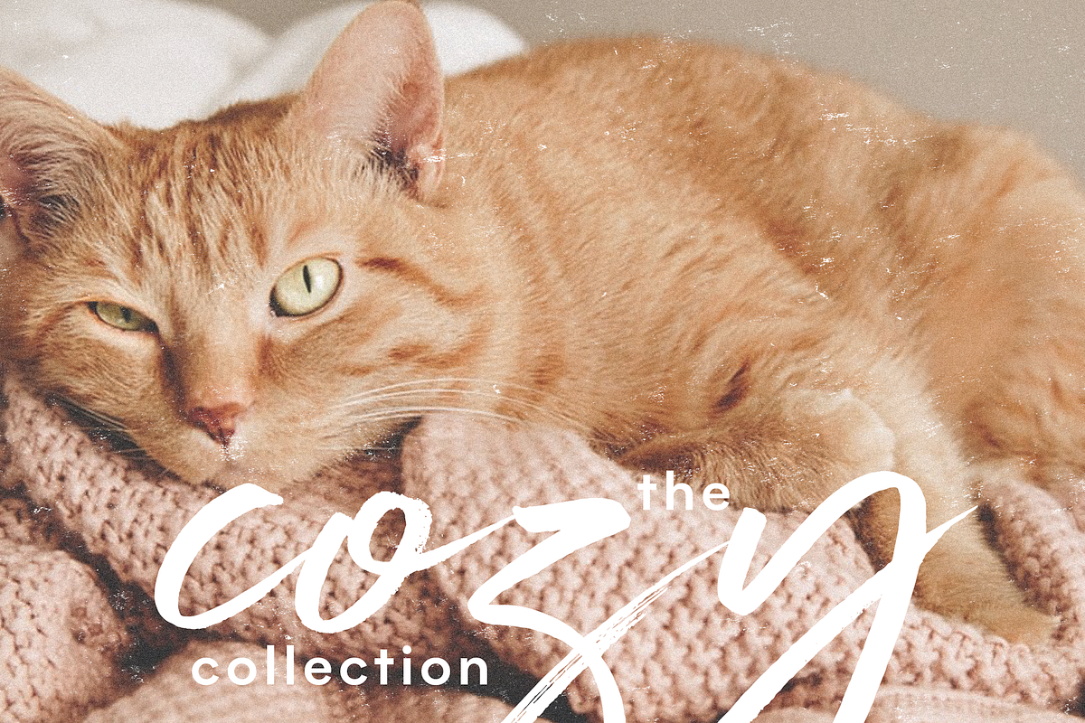 Magic Winter | Script Serif Font Duo, a Serif Font by KA Designs (Photo 9 of 24)