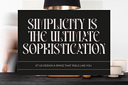 Magoth Modern Serif Display Font, a Serif Font by timelesstype.co (Thumbnail 14 of 20)
