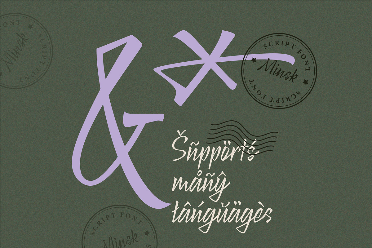 Minsk Script Font, a Script Font by Vera Holera (Photo 8 of 8)