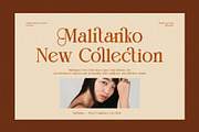 Billan Elegant Serif Font, a Serif Font by Graphicxell (Thumbnail 2 of 6)