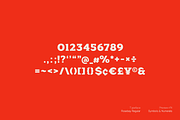 Rosebay Slab, a Slab Serif Font by Unio Designs (Thumbnail 5 of 7)