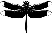 20 Dragonfly Silhouette Mega, an Object Graphic by Designer_Momina (Thumbnail 3 of 19)