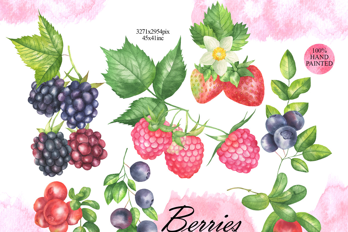 Wild Berry Watercolor Clipart, a Food Illustration by OlDm_Shop (Photo 2 of 8)