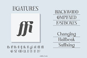Julitho Fonts Family, a Serif Font by Asenbayu (Thumbnail 9 of 13)