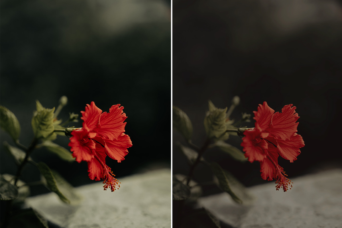 Matte Photoshop Actions, an Action Add-On by Viktor Gjokaj (Photo 7 of 7)