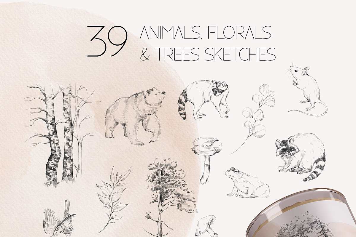 Charming forest - BUNDLE 4 in 1, a Decorative Illustration by Yuliia Lashevska (Photo 24 of 26)