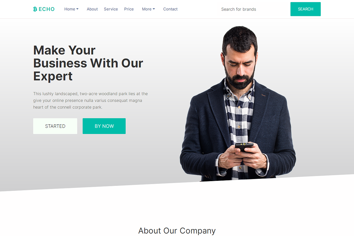 Echo - Multipurpose HTML Template, a HTML Template by Design Collection (Photo 1 of 9)