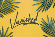Bickeres Brush Font, a Script Font by Maxim apperian (Thumbnail 2 of 8)