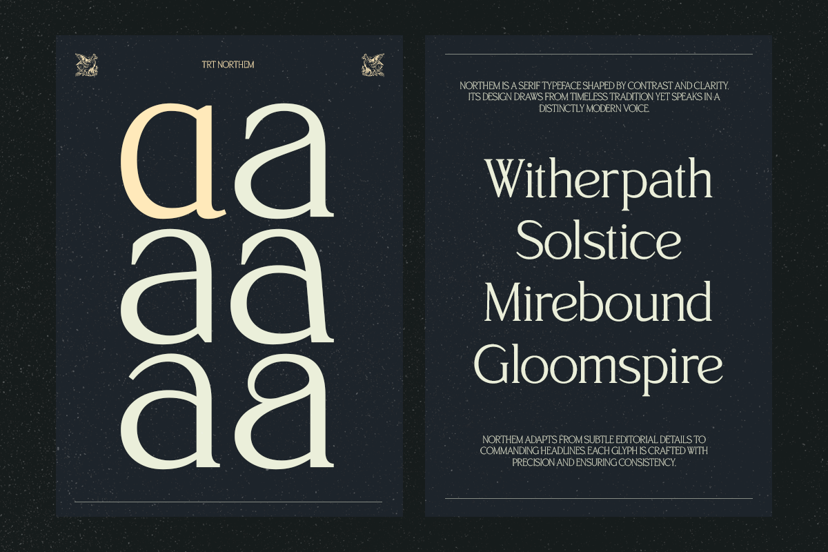 TRT Northem – Elegant Serif Font, a Serif Font by truetype (Photo 9 of 15)