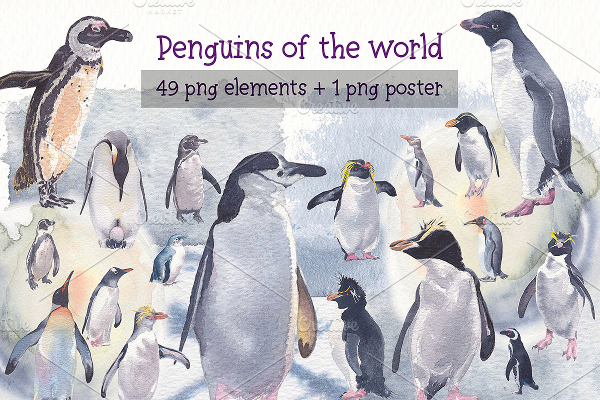 Penguins of de world watercolor set, an Animal Illustration by Art & Things (Photo 1 of 5)