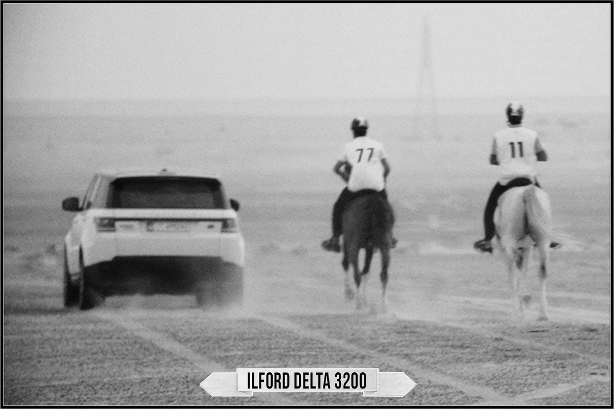 Ilford Films LUTs, a Plug-in Add-On by Raztrend (Photo 6 of 30)