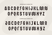 Waren Modern Creative Branding Font, a Sans Serif Font by Sensatype (Thumbnail 10 of 13)