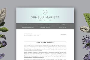 Modern Resume Template For MS Word