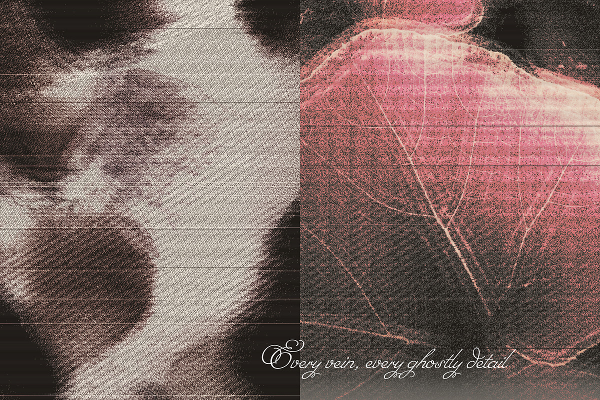 Mystic Autumn Botanical Grain, a Background Graphic by Anzhelika (Photo 5 of 12)