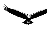 Powerful eagle flying wall art, an Illustration by Amazin_art (Thumbnail 15 of 26)