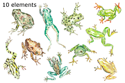 Frog watercolor clipart, a Background Graphic by GoodFairyClipArt (Thumbnail 2 of 3)