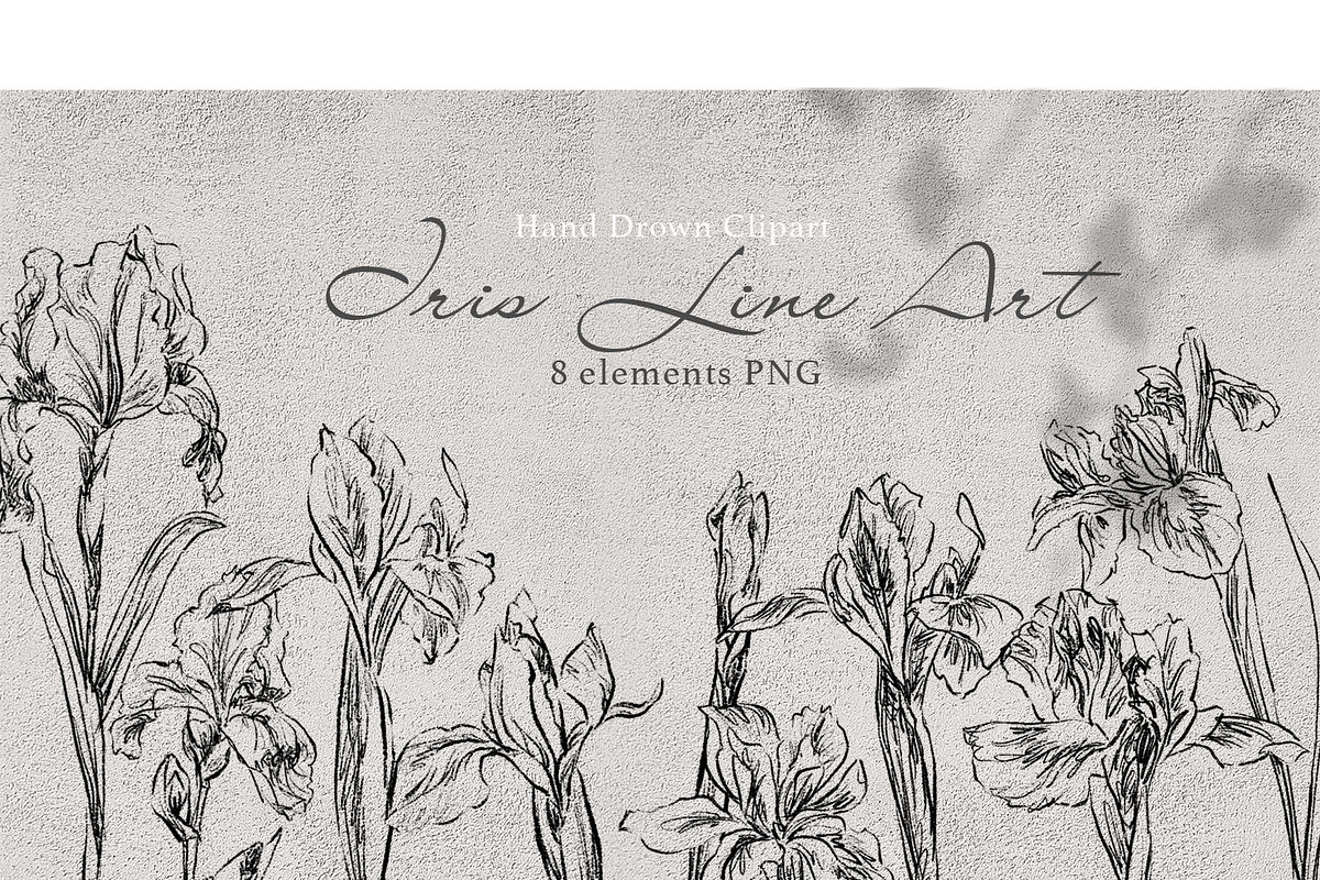 Iris Line clipart, a Decorative Illustration by JULIA x JULIE's ART (Photo 1 of 2)