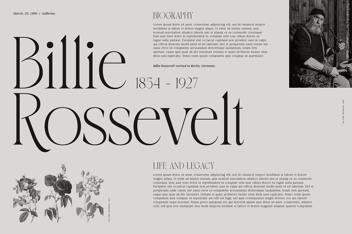 Merilux - Modern Luxury Serif, a Serif Font by Pixesia Studio (Photo 5 of 16)
