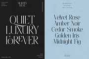 Thereon - Modern Romantic Serif Font, a Serif Font by VP Fonts (Thumbnail 4 of 21)