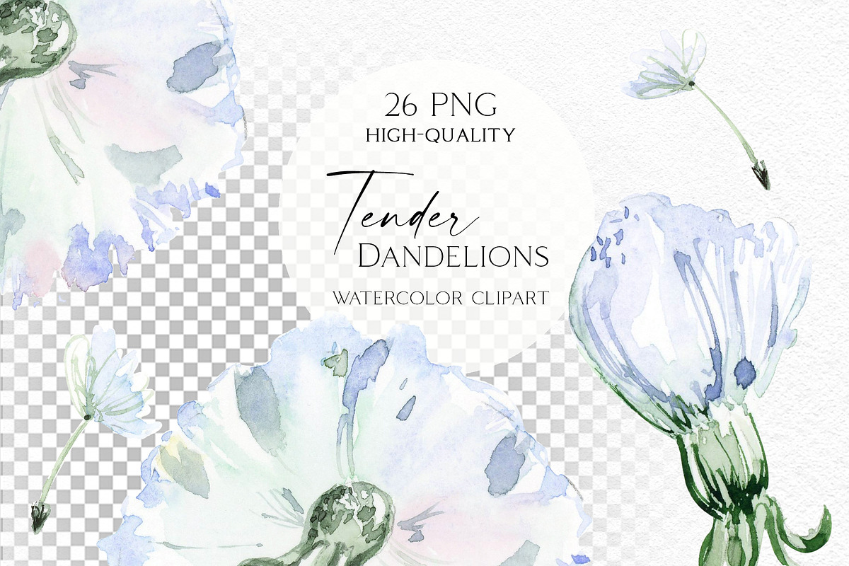 Tender Dandelions, an Object Illustration by Olga Koelsch (Photo 3 of 7)