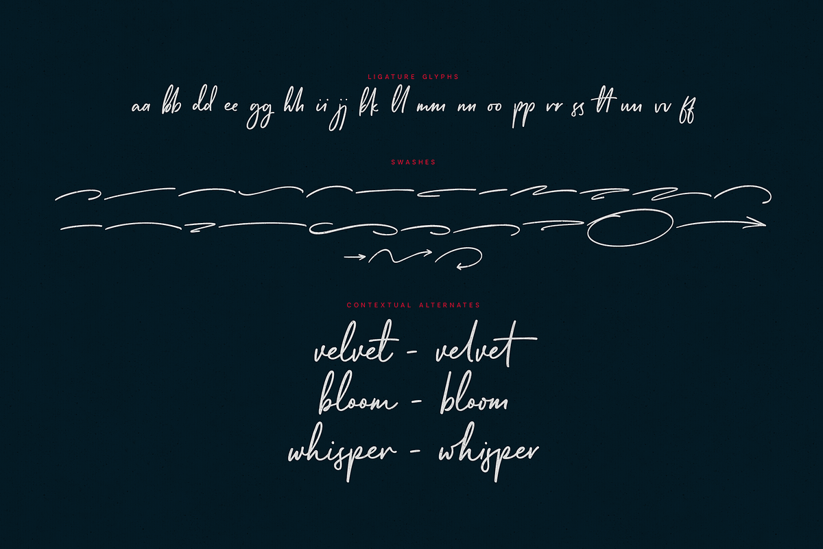Misselle Expressive Script Font Trio, a Script Font by Only Fonts (Photo 13 of 16)