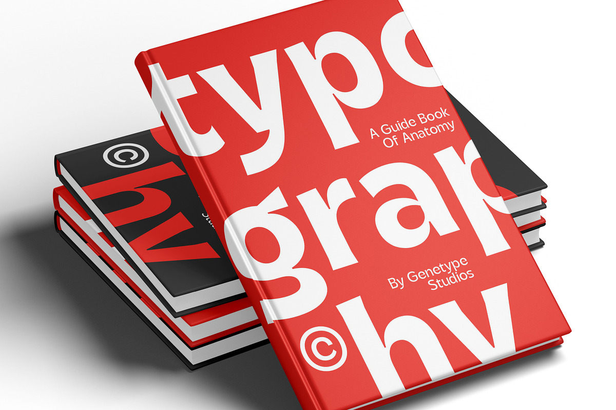 Parson Family - 14 Font, a Sans Serif Font by Genetype (Photo 2 of 8)