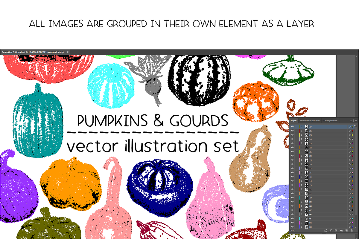 Pumpkins & Gourds - illustrations, a Food Illustration by Renée from Studio neetje (Photo 5 of 5)
