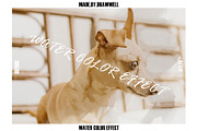 Water color Photo Effect, a Texture Graphic by Drawwell (Thumbnail 6 of 7)