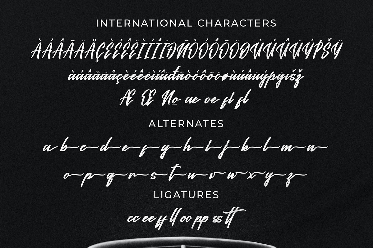 Balleence, a Script Font by Goresan Studio (Photo 12 of 15)