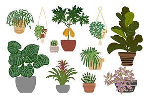 Tropical Plants Vector.