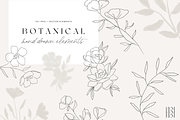 Hand Drawn Botanical Logo & Branding, a Texture Illustration by FEM Creative Studio (Thumbnail 1 of 7)