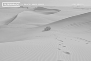 FilterGrade Black & White Series, an Action Add-On by FilterGrade (Thumbnail 4 of 5)