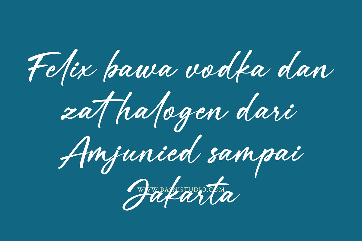 Velomi Juice– Elegant Handwritten, a Handwritten Font by Basnistudio (Photo 7 of 13)