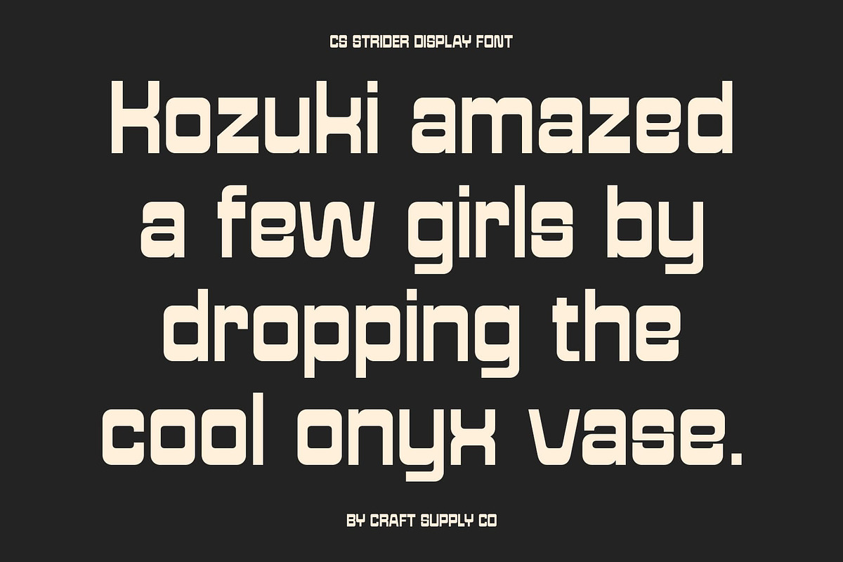 CS Strider – Reverse Contrast Font, a Sans Serif Font by Craft Supply Co. (Photo 4 of 8)