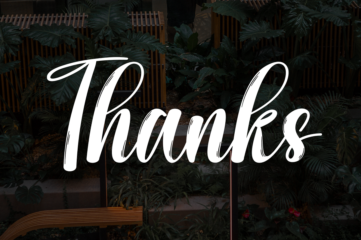 Rooftop Garden | Script Font, a Handwritten Font by Scratchones (Photo 9 of 9)