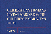 AE Maeza-Modern Serif, a Serif Font by Portion.Labs (Thumbnail 6 of 10)