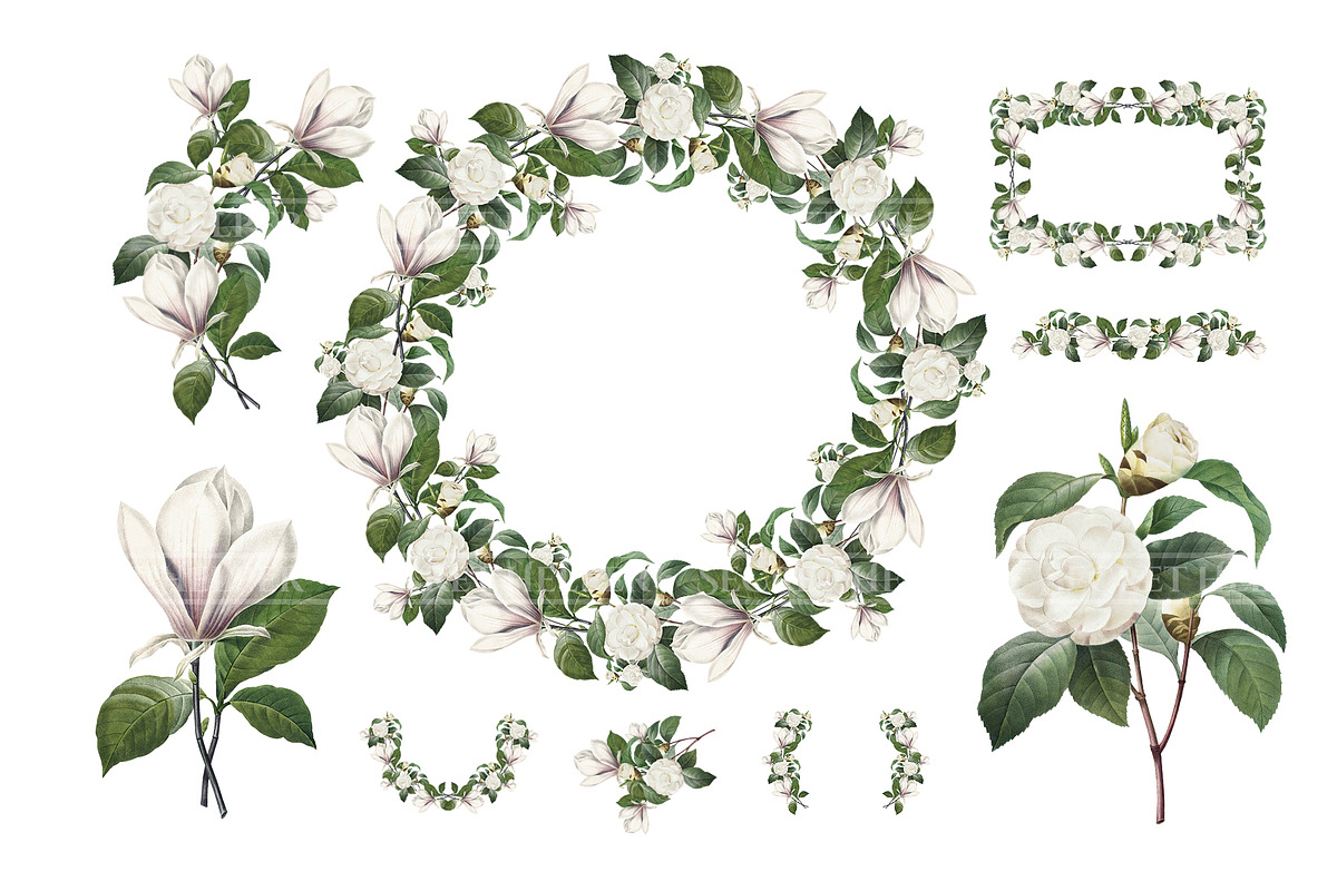 White Floral Clipart, Wreath, Frames, an Illustration by Secret Helper (Photo 3 of 9)