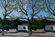 Fuji FP 100C V, a Preset Add-On by colorituals (Thumbnail 9 of 9)