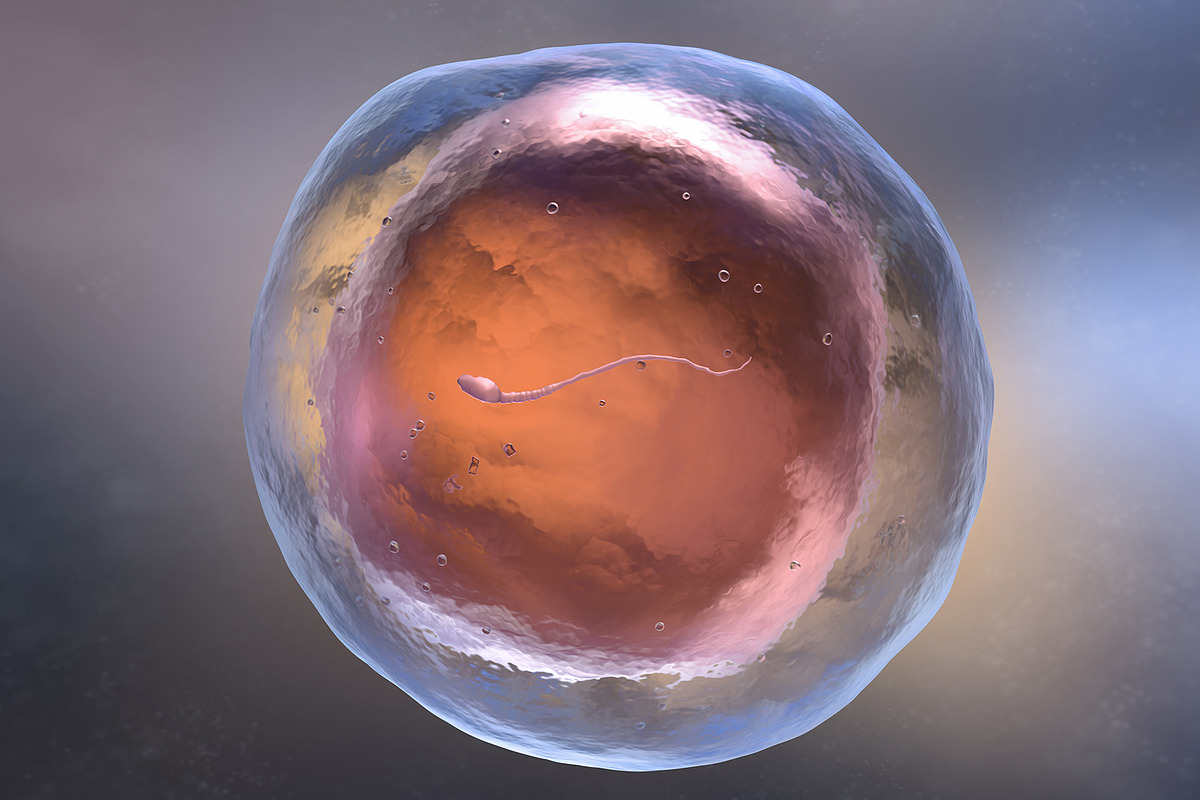 Artificial insemination, a Healthcare Illustration by iLexx (Photo 2 of 2)