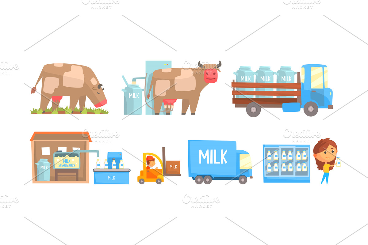 Stages of Milk Production Vector, an Illustration by TopVectors