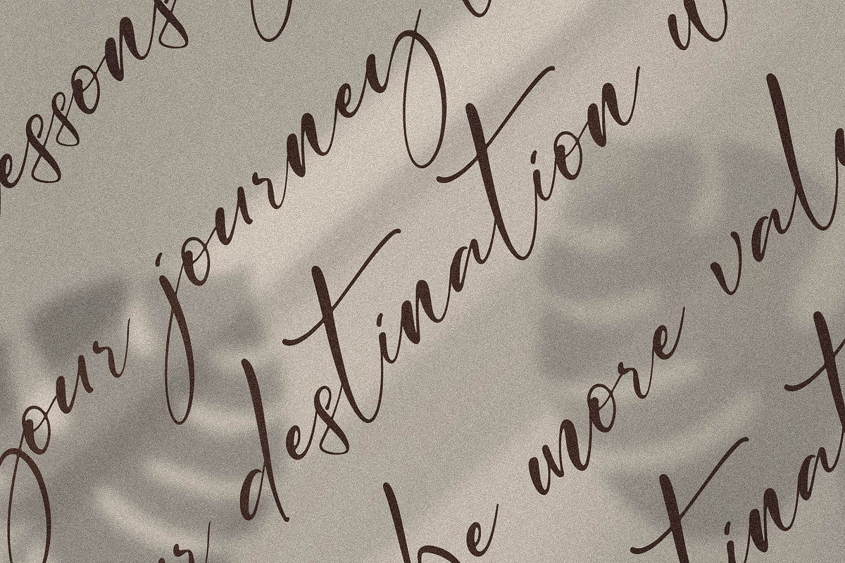 Cicaero, a Script Font by Integritype Studio (Photo 14 of 15)