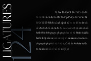 Tilaa Serif -Ligature Typeface, a Serif Font by Ryul Davidson (Thumbnail 12 of 13)
