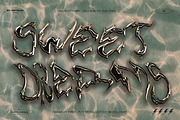 Wassupp font - Brutal Bold Font, a Font by softulka (Thumbnail 3 of 6)
