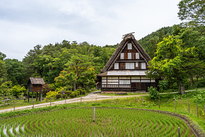 Traditional rice field and farmhouses in Hida no Sato, Takayama