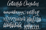 Nostar Script, a Script Font by Royaltype (Thumbnail 8 of 9)